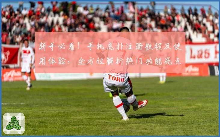 新手必看!手机虎扑注册教程及使用体验,全方位解析热门功能亮点