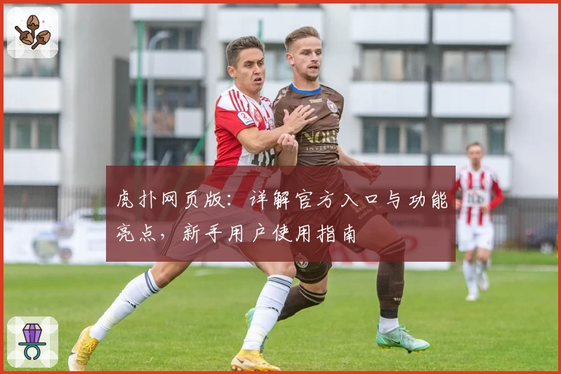 虎扑网页版:详解官方入口与功能亮点,新手用户使用指南